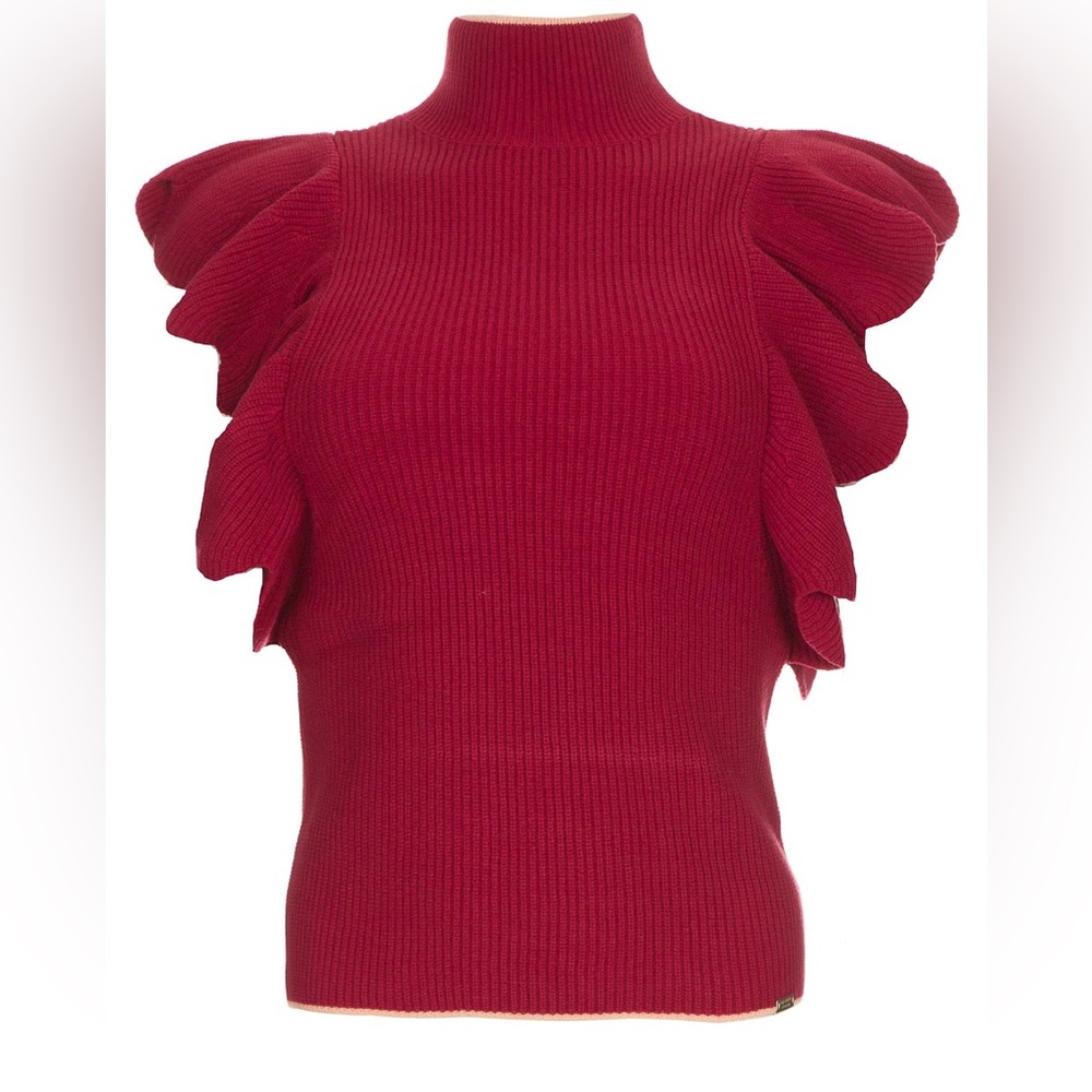 Elisabetta franchi turtle neck sweater